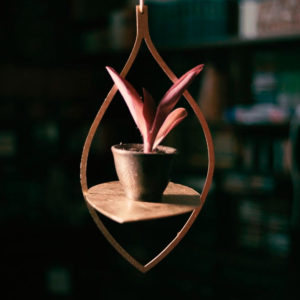 étagère suspendue Ficus par Georges