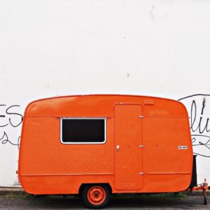 pola sur coton par Georges