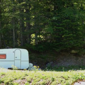 pola sur coton par Georges