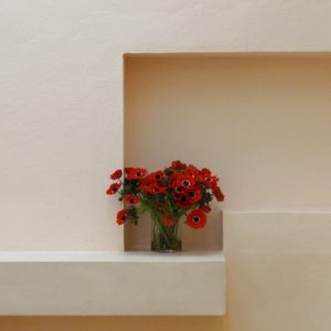 pola sur coton par Georges