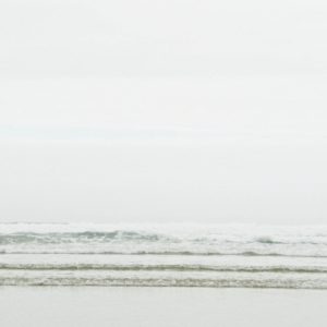 pola sur coton par Georges